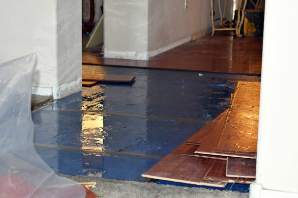 Professional Water Damage Restoration technician working in Linden, TX